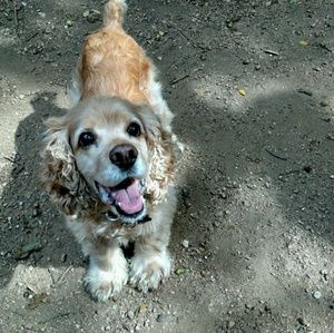 Meet your Posher, Maryellen